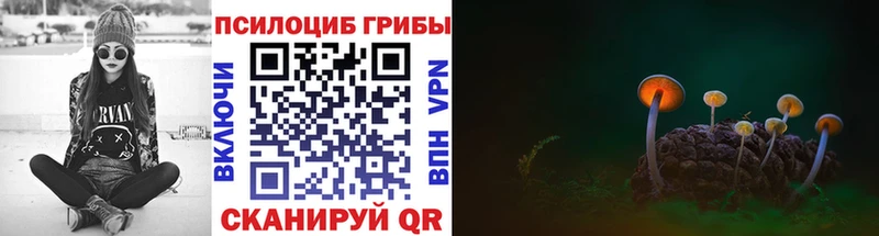 где продают наркотики  Омск  Псилоцибиновые грибы Psilocybine cubensis 